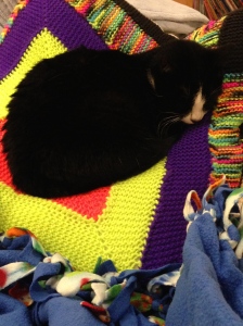 Tux catching a nap.